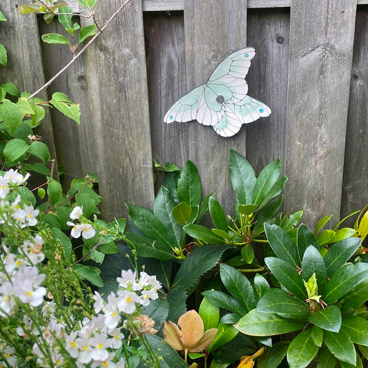 Butterfly Ceramic Imagination Wall Pale